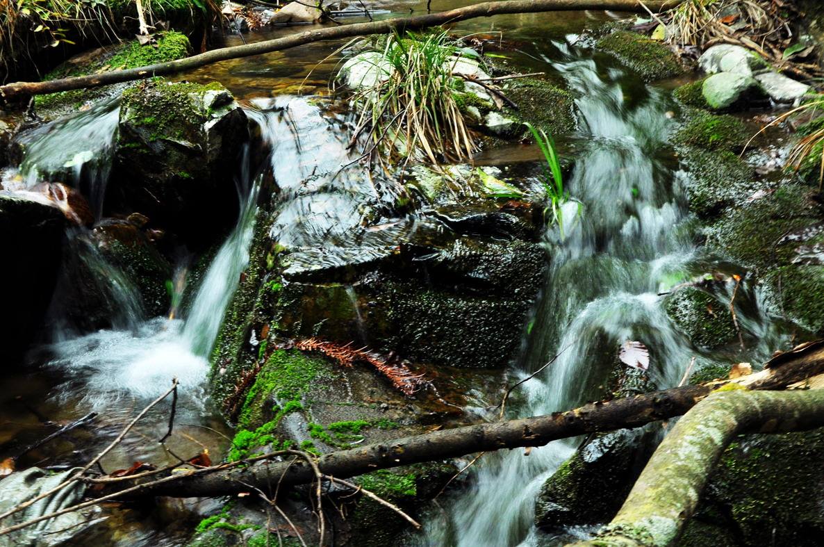 朱家山国家级森林公园