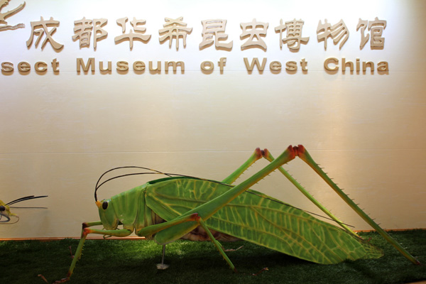 成都华希昆虫博物馆