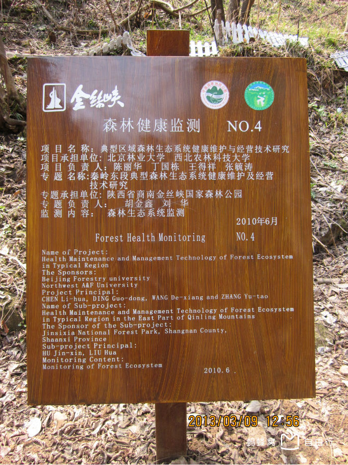 金丝大峡谷国家森林公园