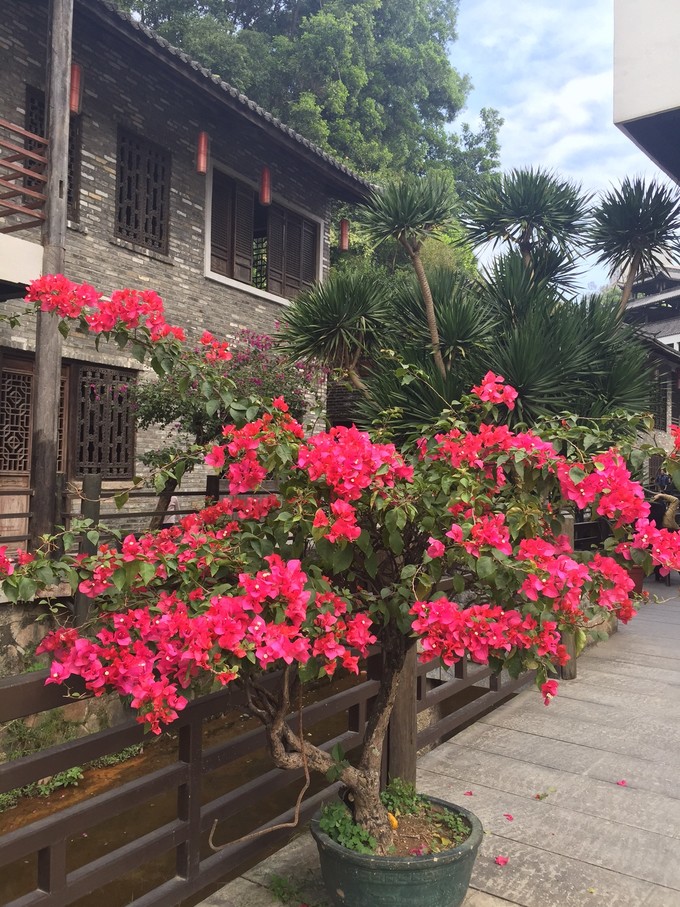 甘坑客家小镇