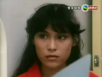 双叶蝴蝶