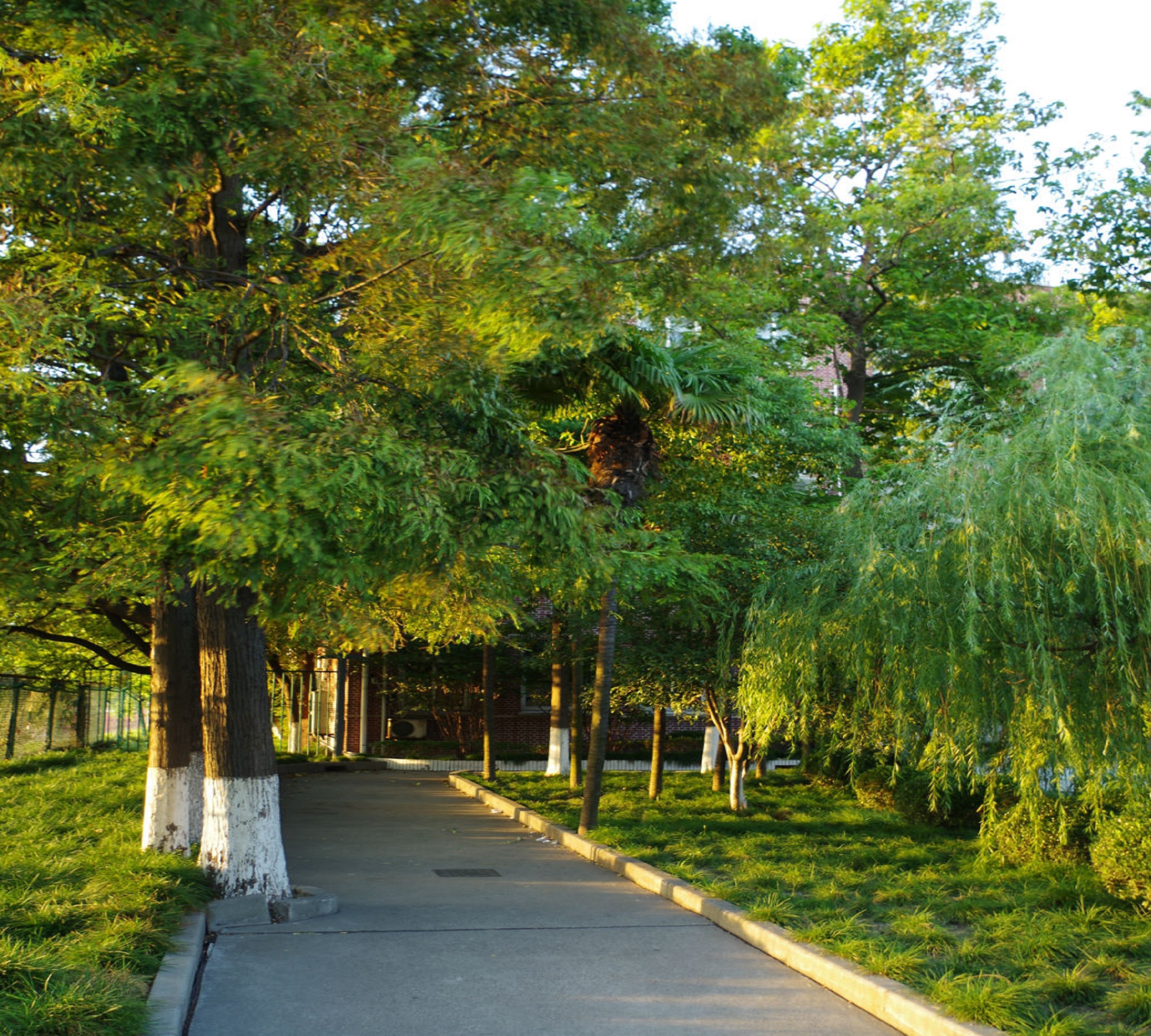  p>上海大学(shanghai university),简称"上大",是上海市属,国家" a