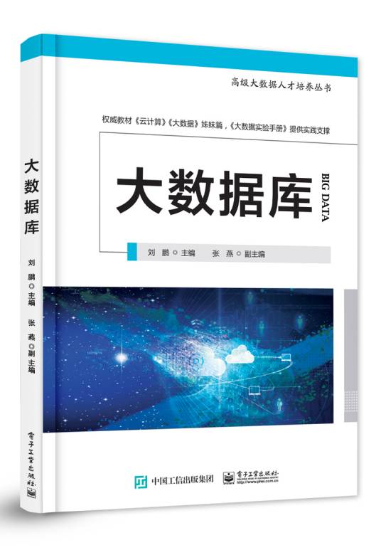 大数据库（2017年6月电子工业出版社出版的图书）_百度百科