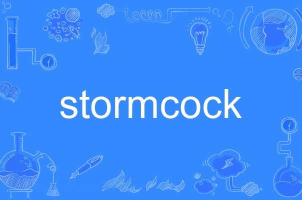 stormcock