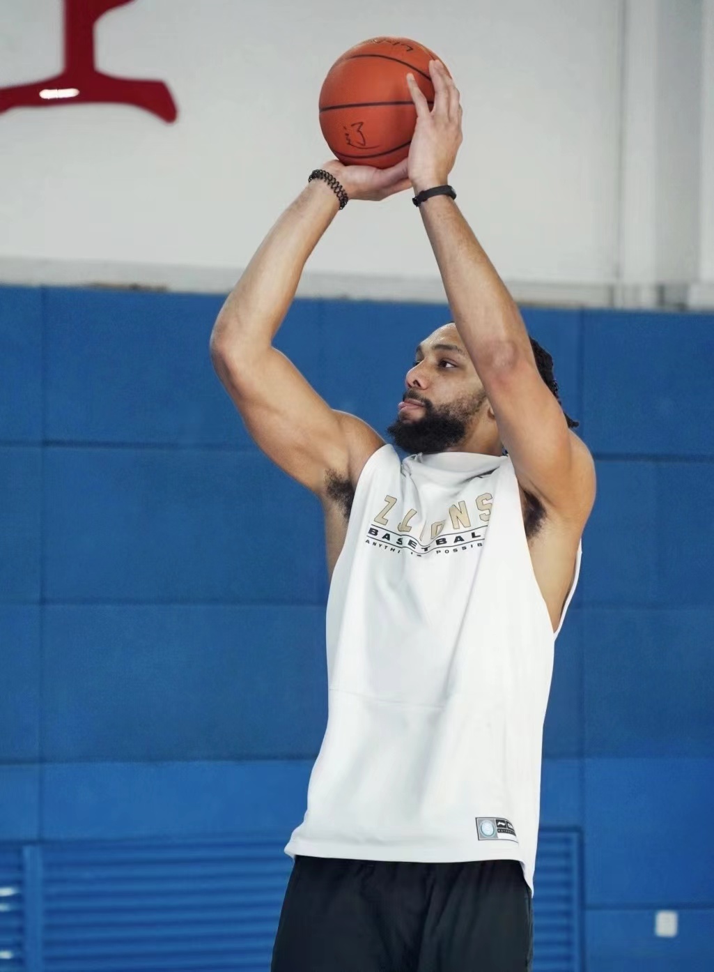  p>贾利尔·奥卡福(jahlil okafor),1995年12月15日出生于 a target="