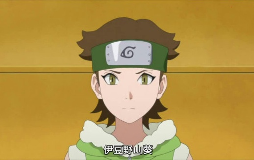  p>伊豆野山葵,日本动画《 a target="_blank" href="/item/boruto