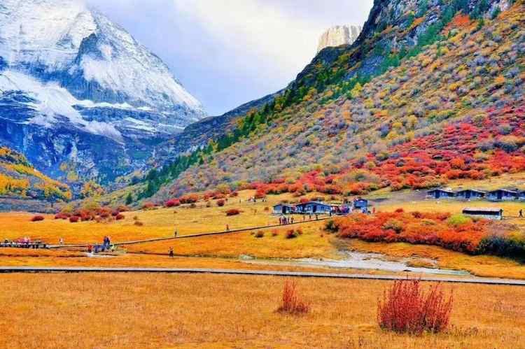  p>距稻城县城28公里的桑堆小镇风景绮丽,在公路沿线的牧场开阔平展