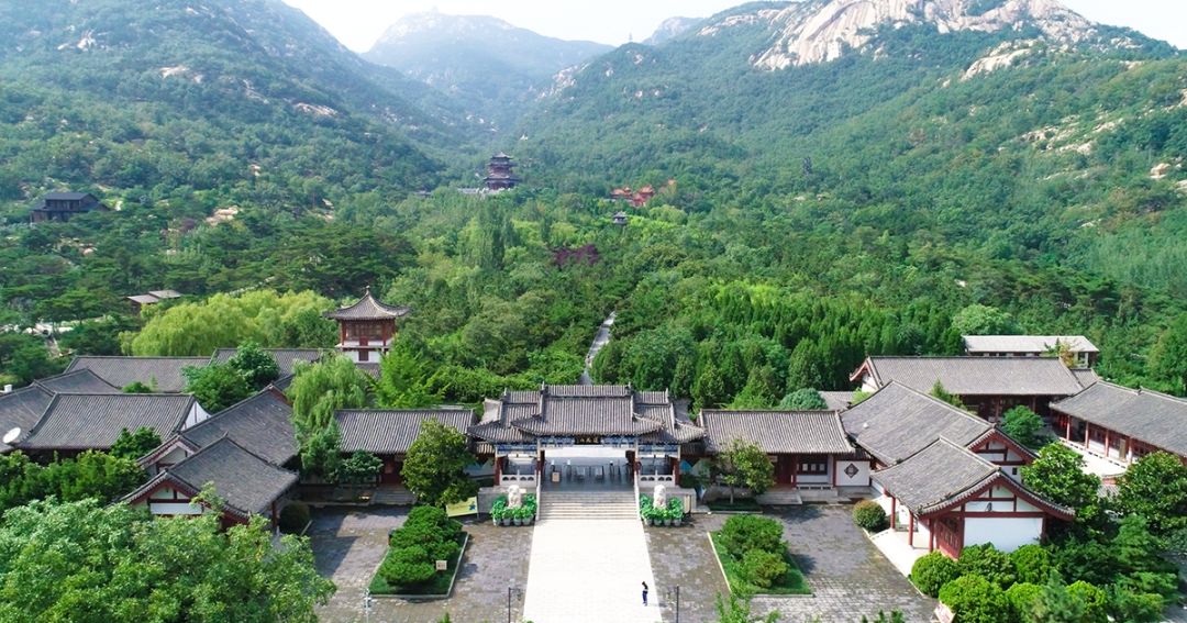 “中华诗词之乡”！新泰又添一张“国家级名片”_百科TA说