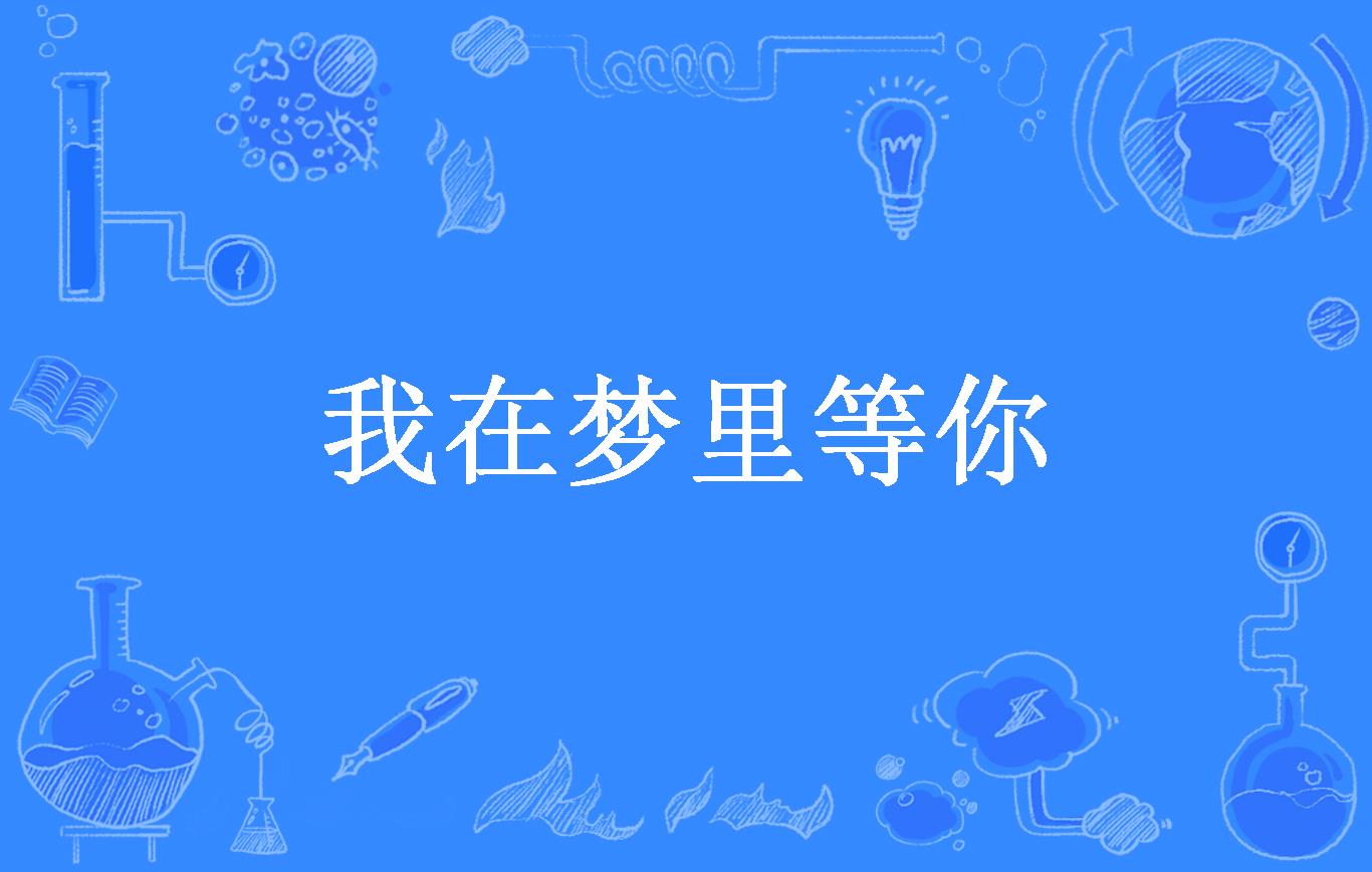 我在梦里等你