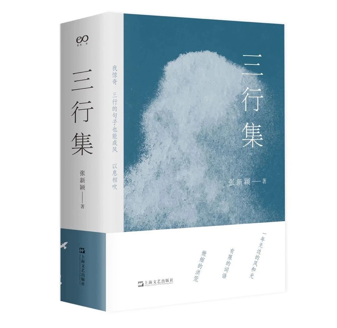 “业余诗人”张新颖的三行诗_百科TA说