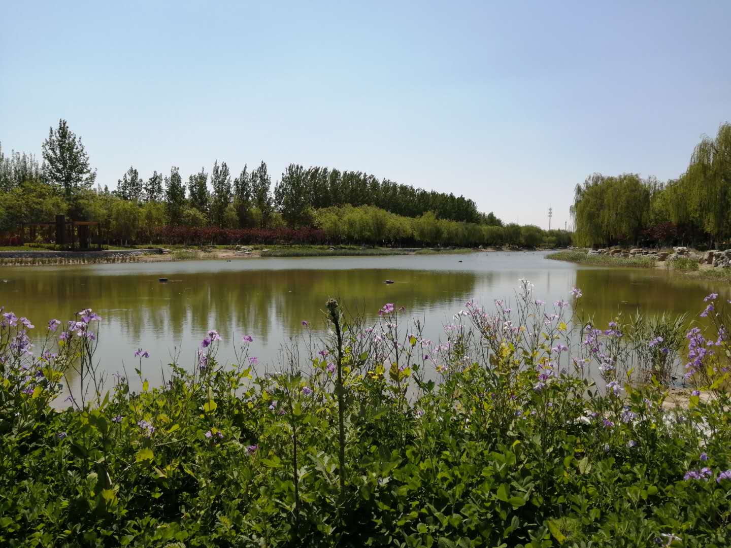  p>大兴孙村公园位于大兴区南中轴与南六环交叉处(磁各庄桥)西南角