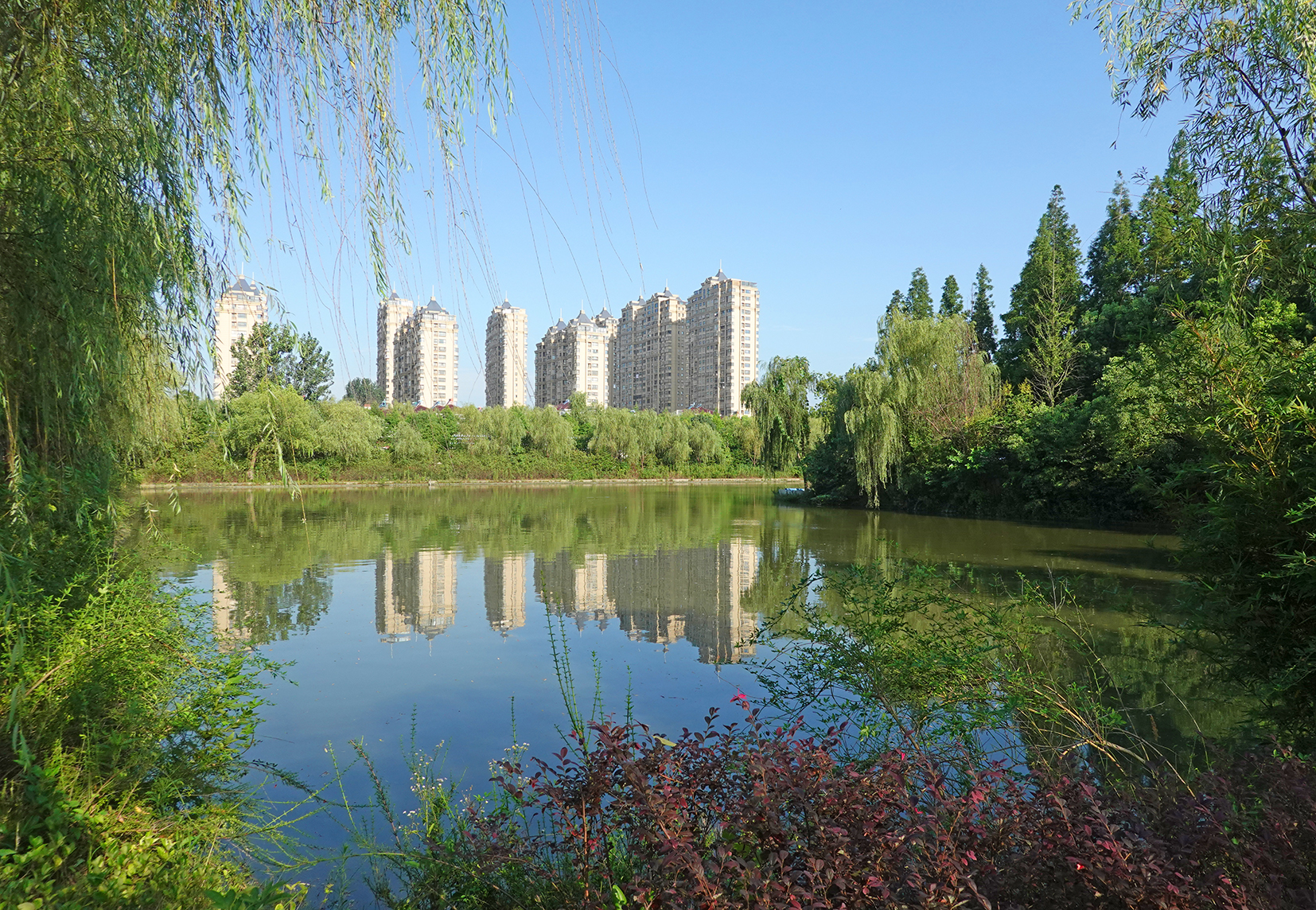 东台公园