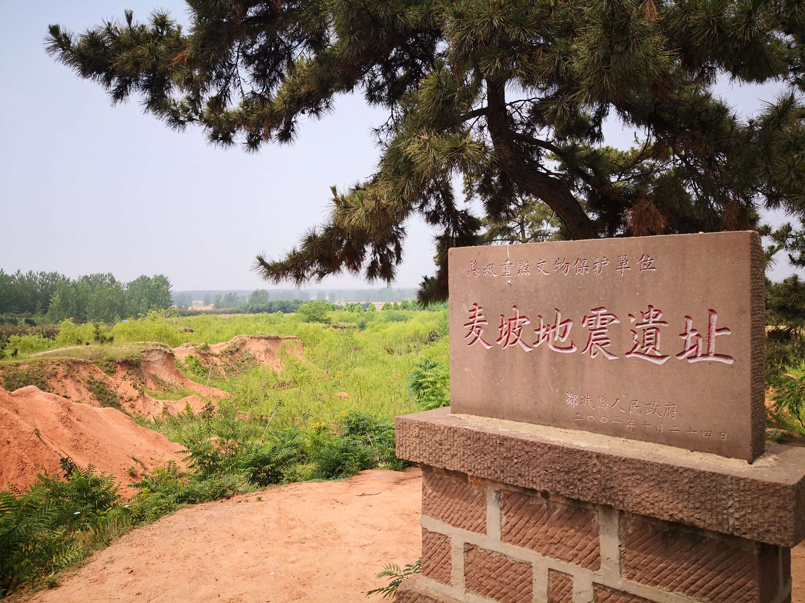 郯城麦坡地震活断层遗址