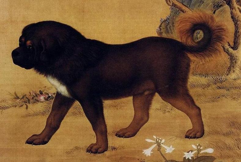 饮食须知 饮食须知 百度百科