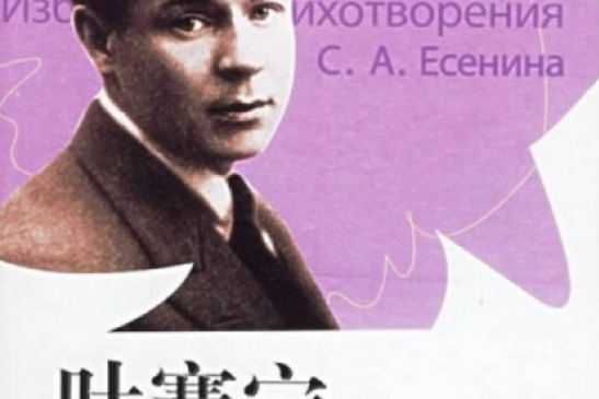 20世纪俄罗斯文学名家名篇:叶赛宁诗选