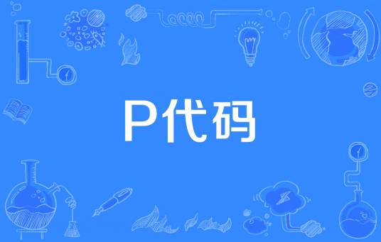 P代码_百度百科