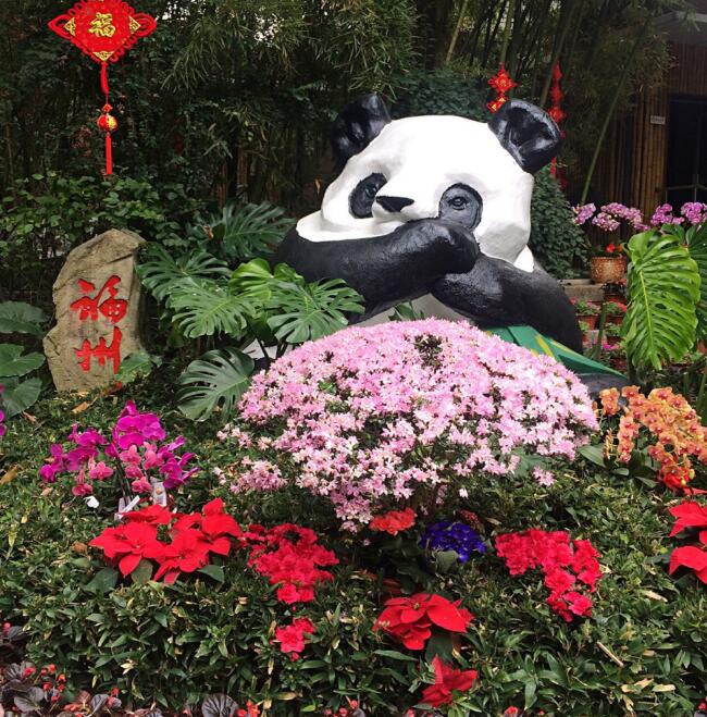 福州熊猫世界