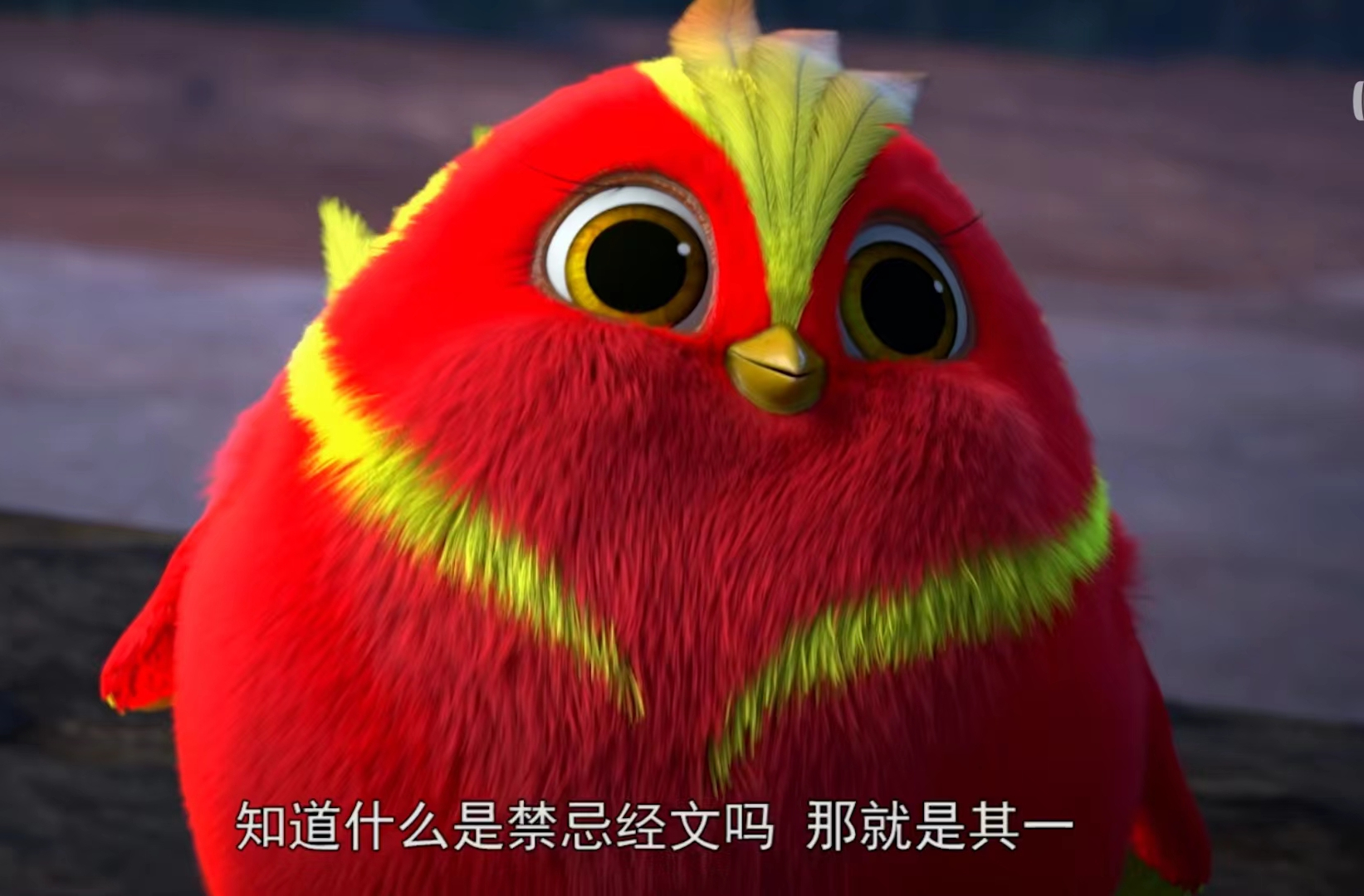 小红
