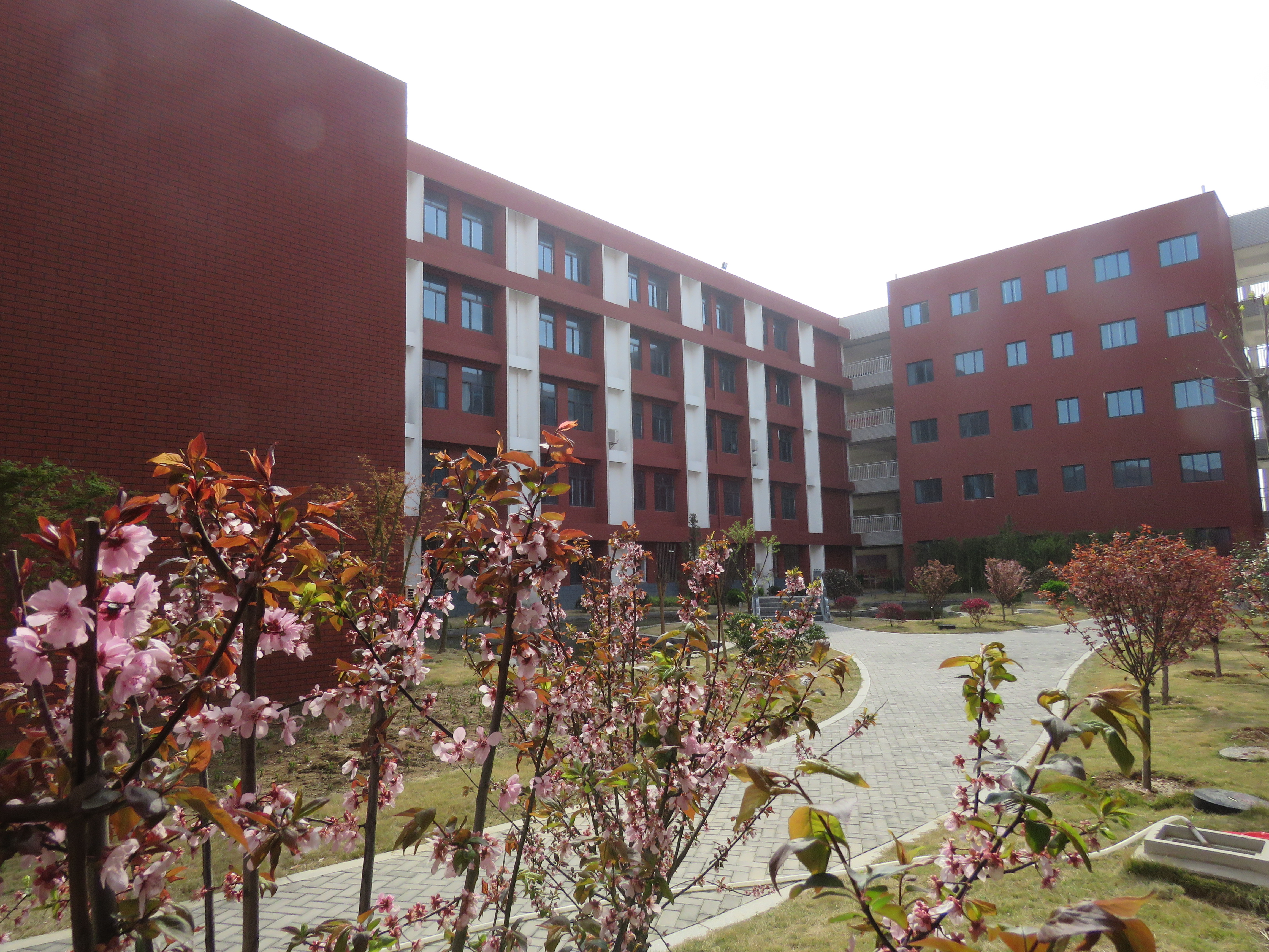 连云港华杰实验学校