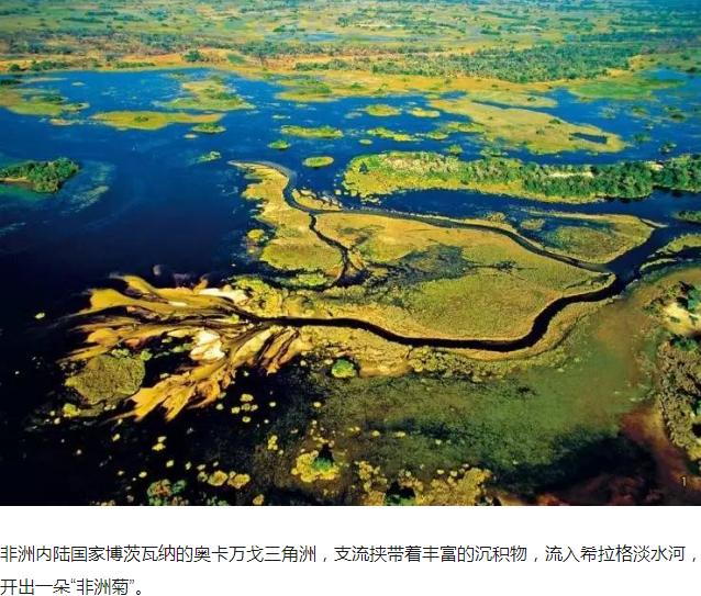  p>奥卡万戈三角洲(okavango delta),别名为"奥卡万戈沼泽",位于非洲 