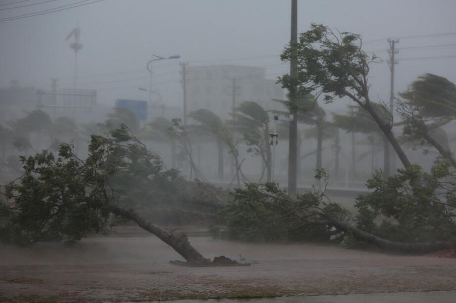  p data-id="gnwyr4t4xn">超强台风威马逊(英语:super typhoon