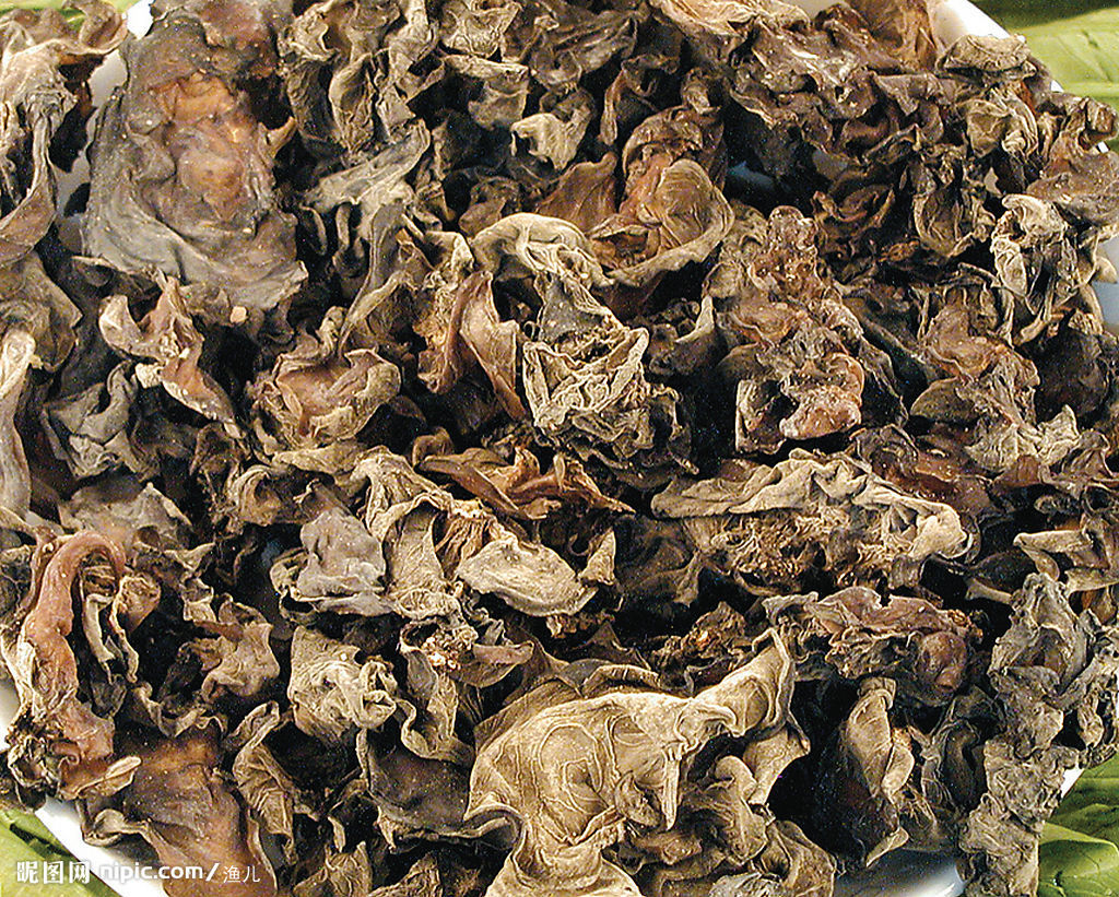  p>木耳,又叫云耳,桑耳,是我国重要的食用菌,有广泛的自然分布和人工