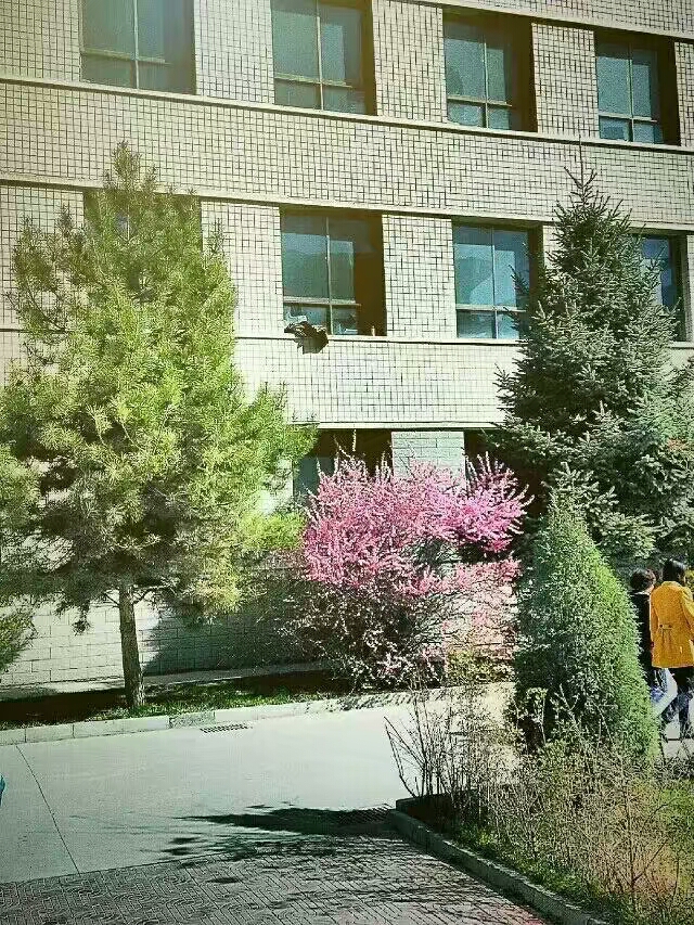 天祝县第一中学