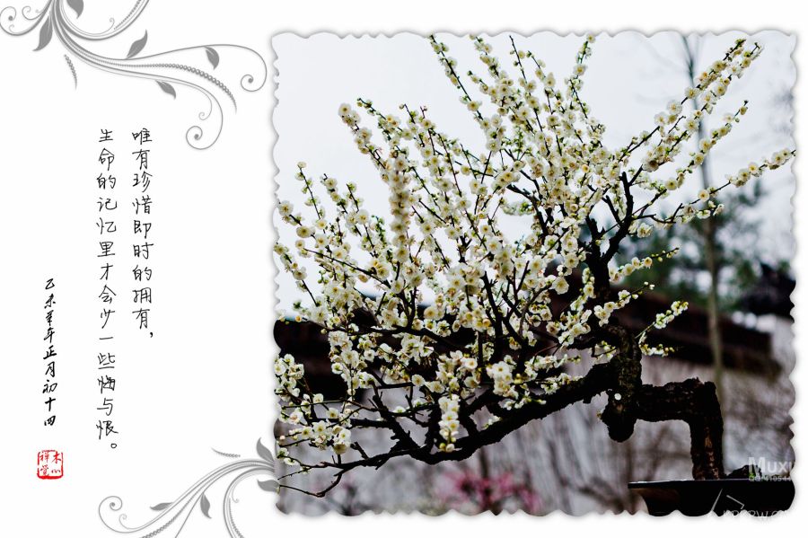  p>《盆景》是 艾青 1979年2月23日所写的 现代诗.