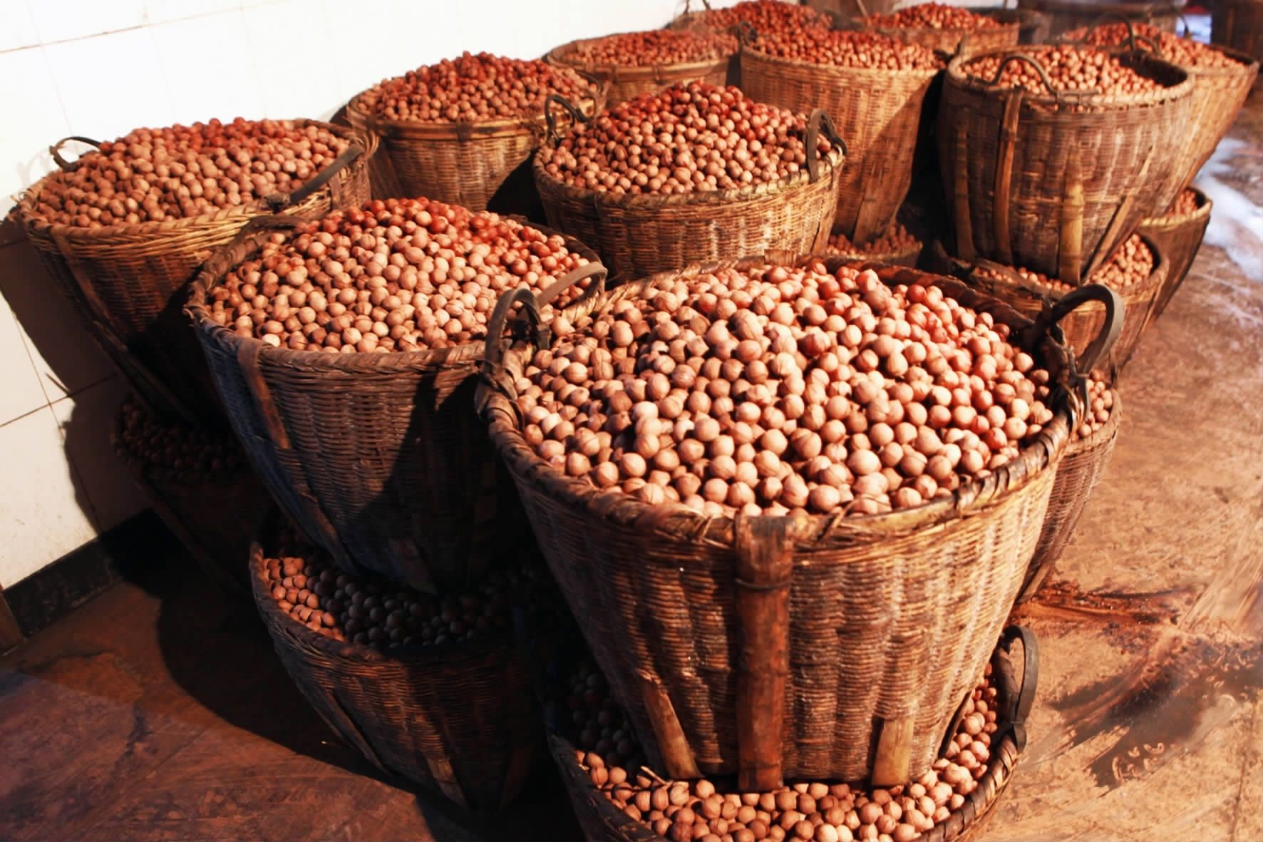  p>绩溪山核桃,安徽省绩溪县特产,全国农产品地理标志.