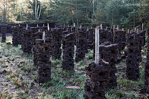  p>泥炭沼泽(peat mire)是泥炭地质学,指土壤剖面发育有泥炭层的沼泽.