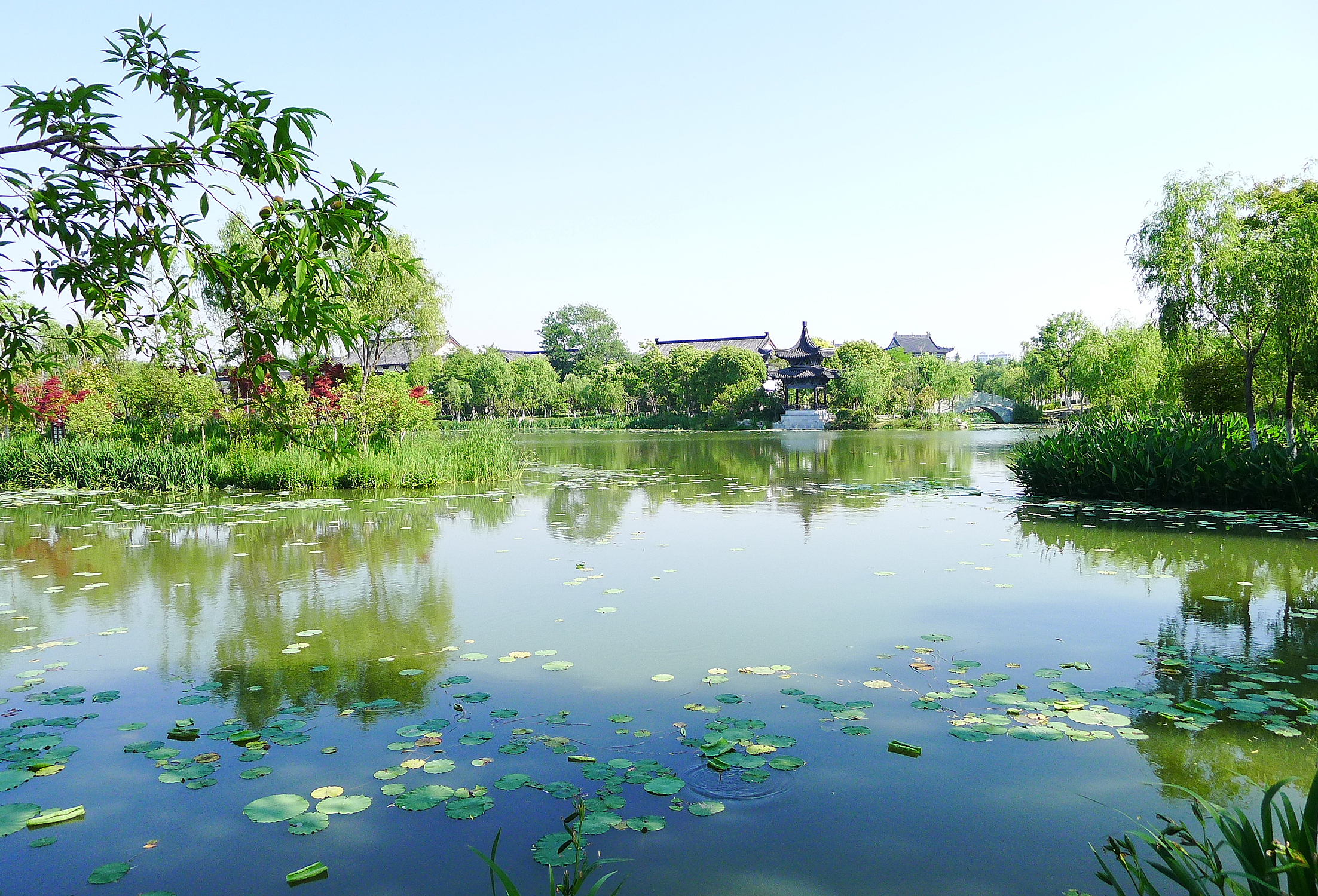 西溪旅游文化景区