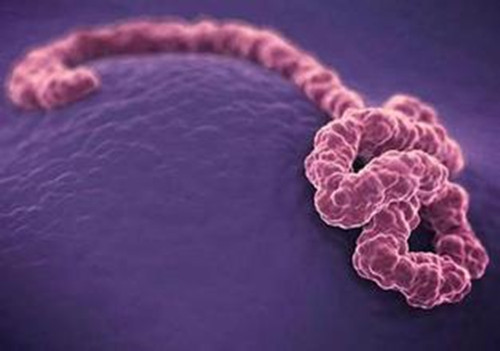  p>拉沙热病原为沙状病毒科的一种,是单链 a href="#" data-lemmaid="