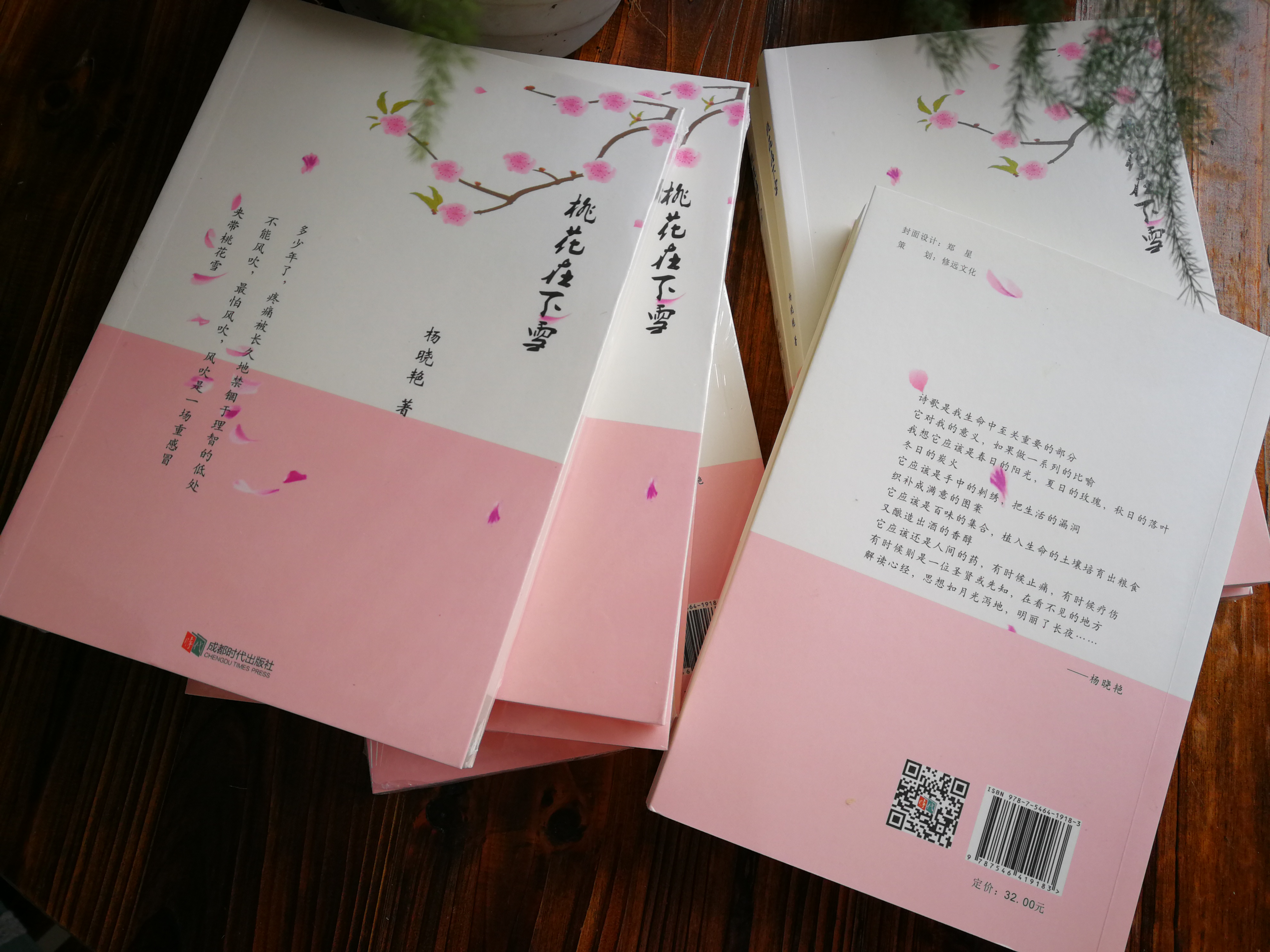 下雪》是当代青女诗人杨晓艳(笔名:南雁南飞)创作的首部个人现代诗集