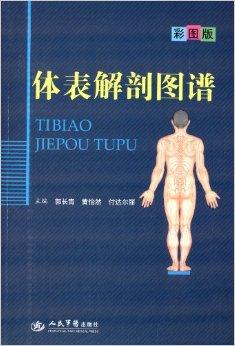 体表解剖图谱