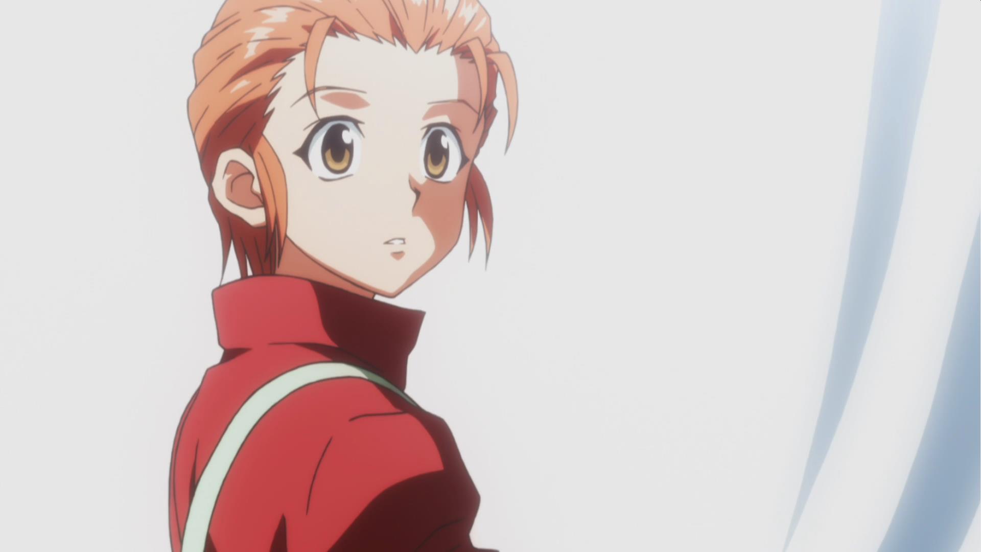 ">米特,日本漫画《 a target="_blank" href="/item/全职猎人/27763"