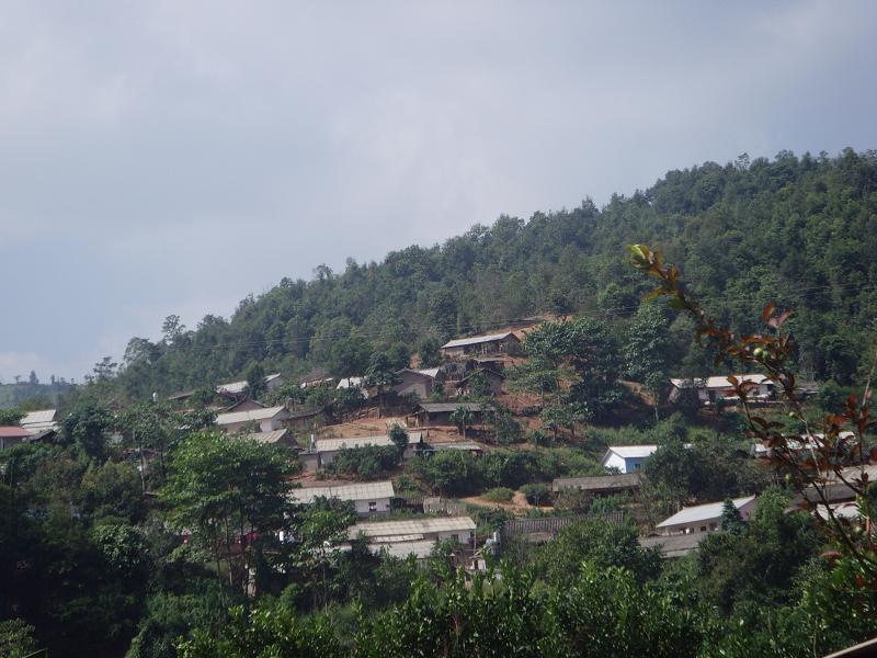 " data-lemmaid="6138067">村委会 /a>隶属隆阳区杨柳白族彝族乡,地处