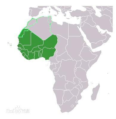  p>西非(western africa)是指非洲西部地区.