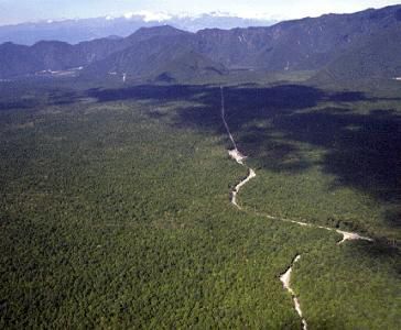 青木原树海（自然地理）_百度百科
