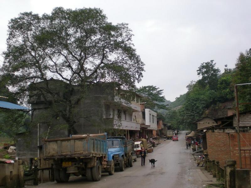 href="#">河口 /a>瑶族自治县莲花滩乡,地处西北部,距乡政府所在地10