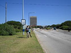 南非伊丽莎白港大学