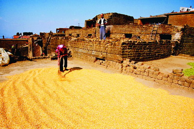 data-id="go08p1lhaq">官厅镇,隶属于云南省红河哈尼族彝族自治州建水