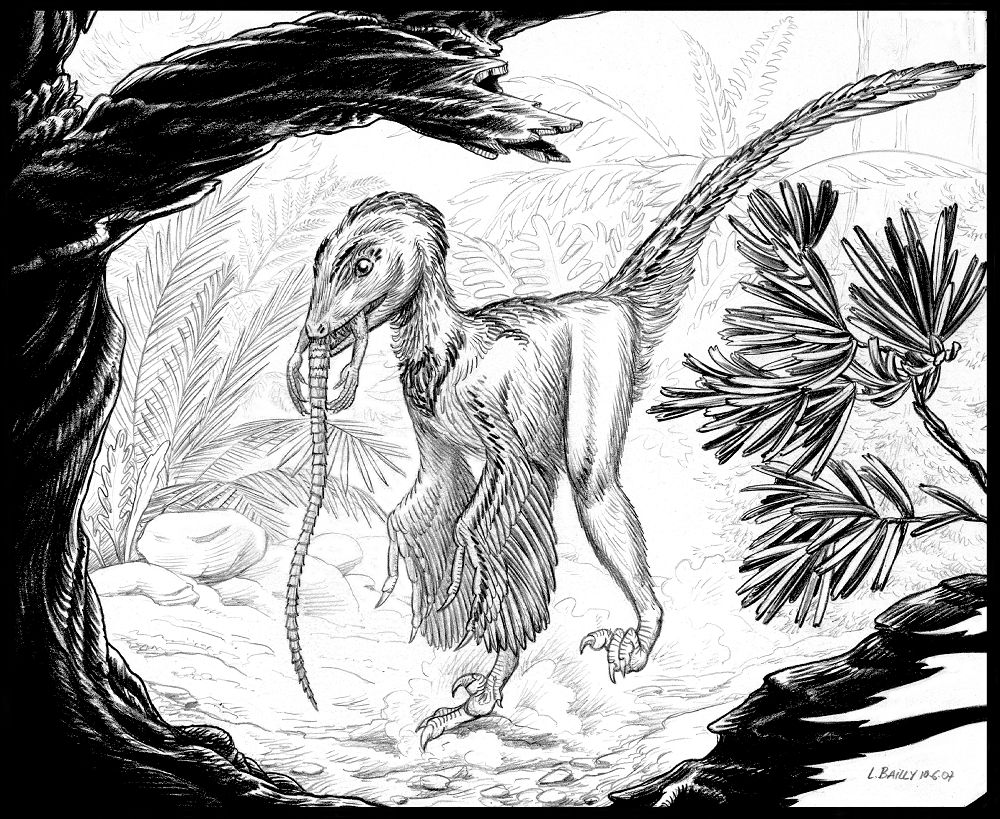  p>伤齿龙生存于晚 a href="#" data-lemmaid="383549">白垩纪 /a>,约