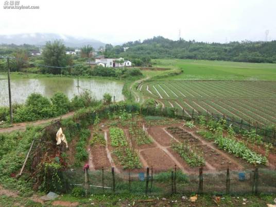 农业用地_百度百科