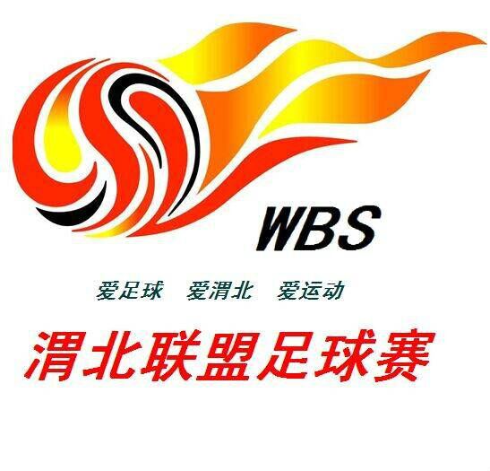 经费少无赞助的情况,与澄城,合阳,韩城,,蒲城 ,白水各县足球队队委会
