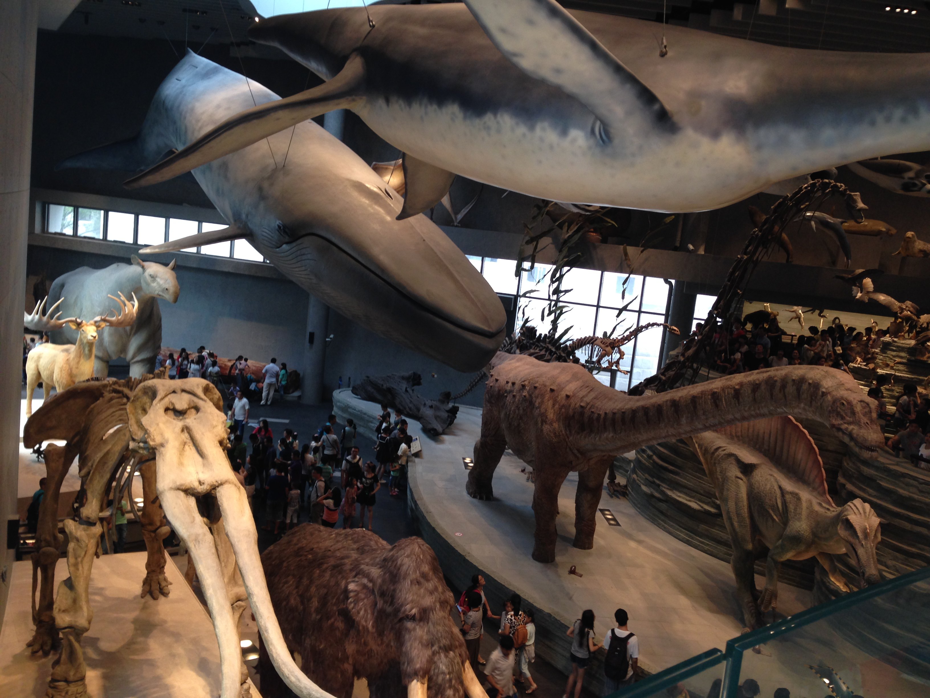 自然博物馆(自然博物馆地铁几号线可以到达)