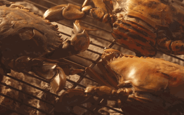 data-id="go02mbztkz"></p></a>《人生一串》是由旗帜传媒制作,并与bilibili