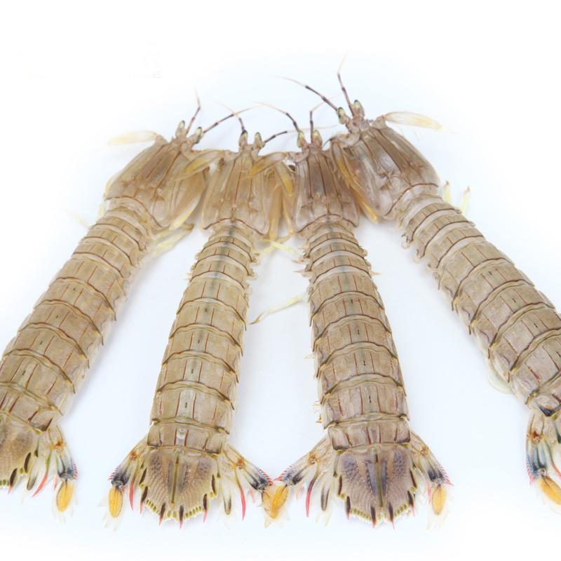 海鲜界隐藏的美食家——虾爬子_百科TA说