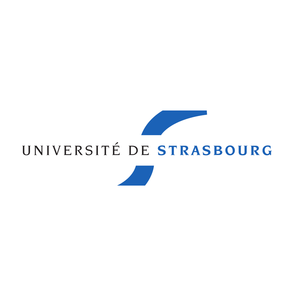 法国斯特拉斯堡大学