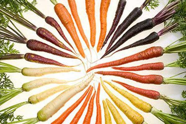 具体是指如彩虹般有七种颜色的胡萝卜