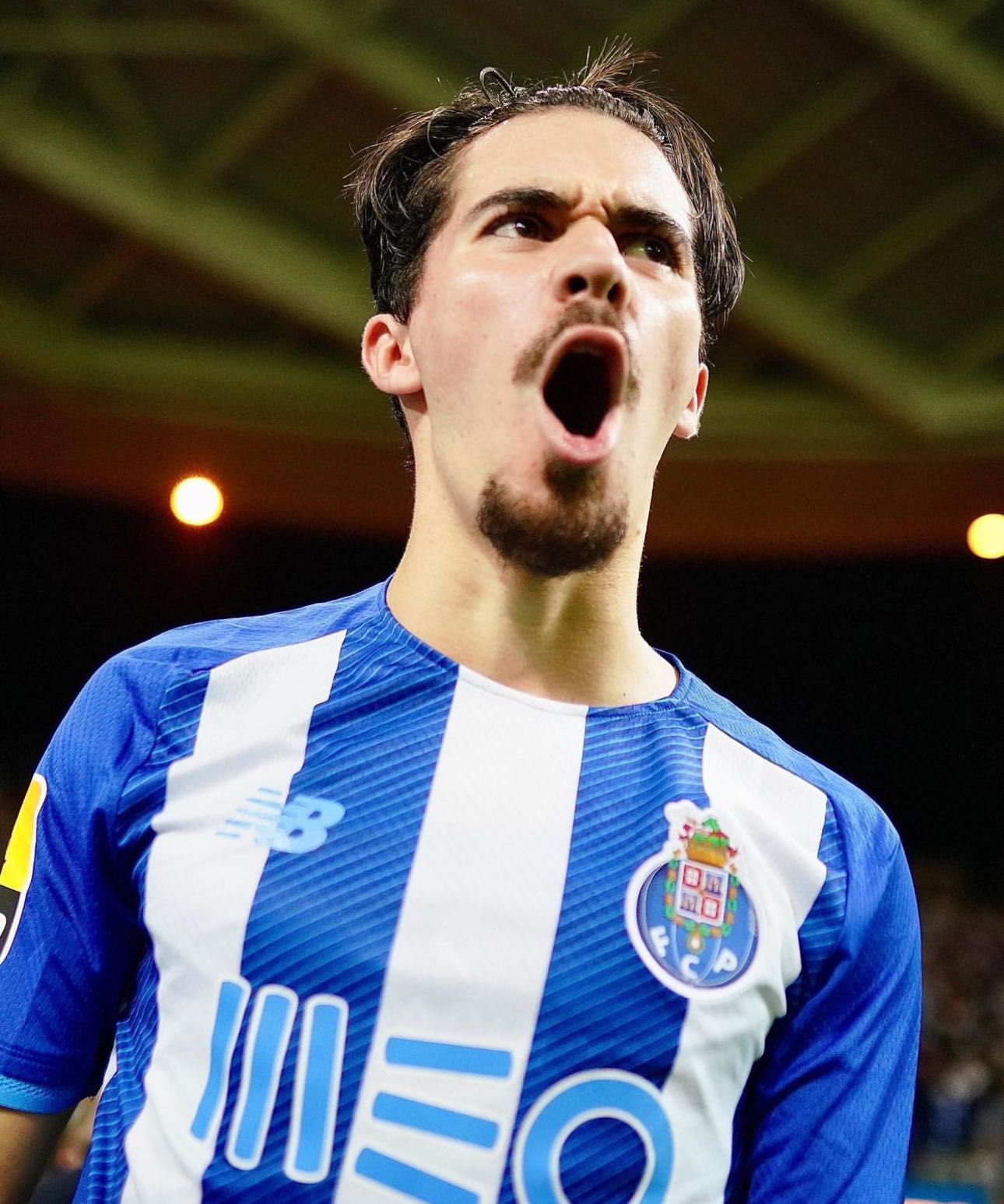 维蒂尼亚·费雷拉